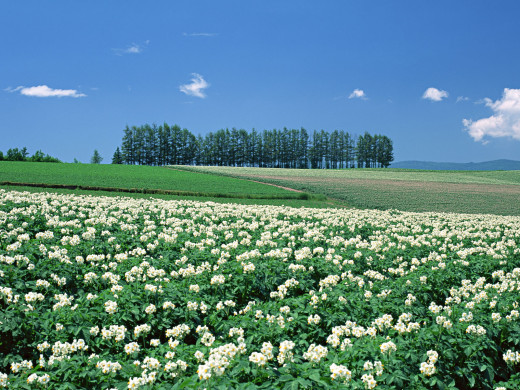 37933 (a): :1600x1200